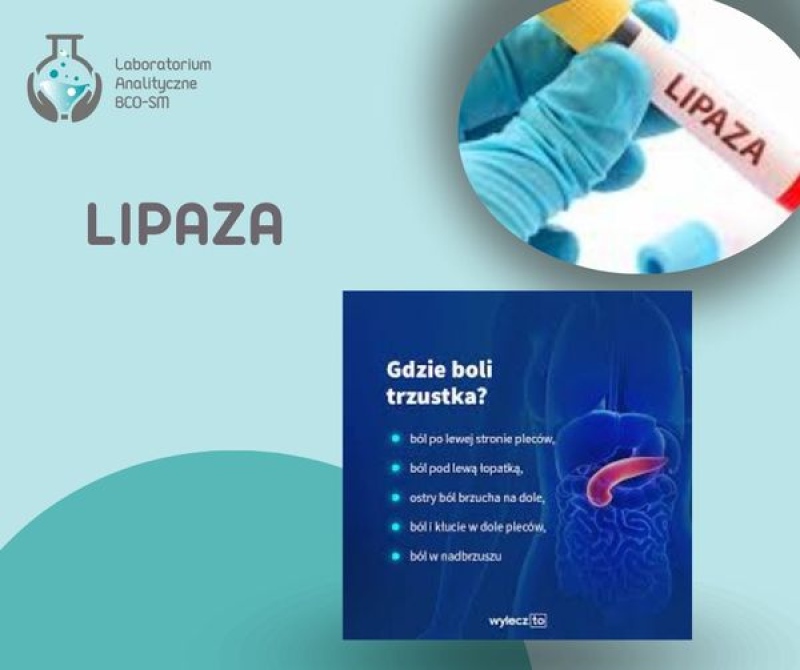 foto:  BADANIA LABORATORYJNE W PIGUŁCE - LIPAZA
